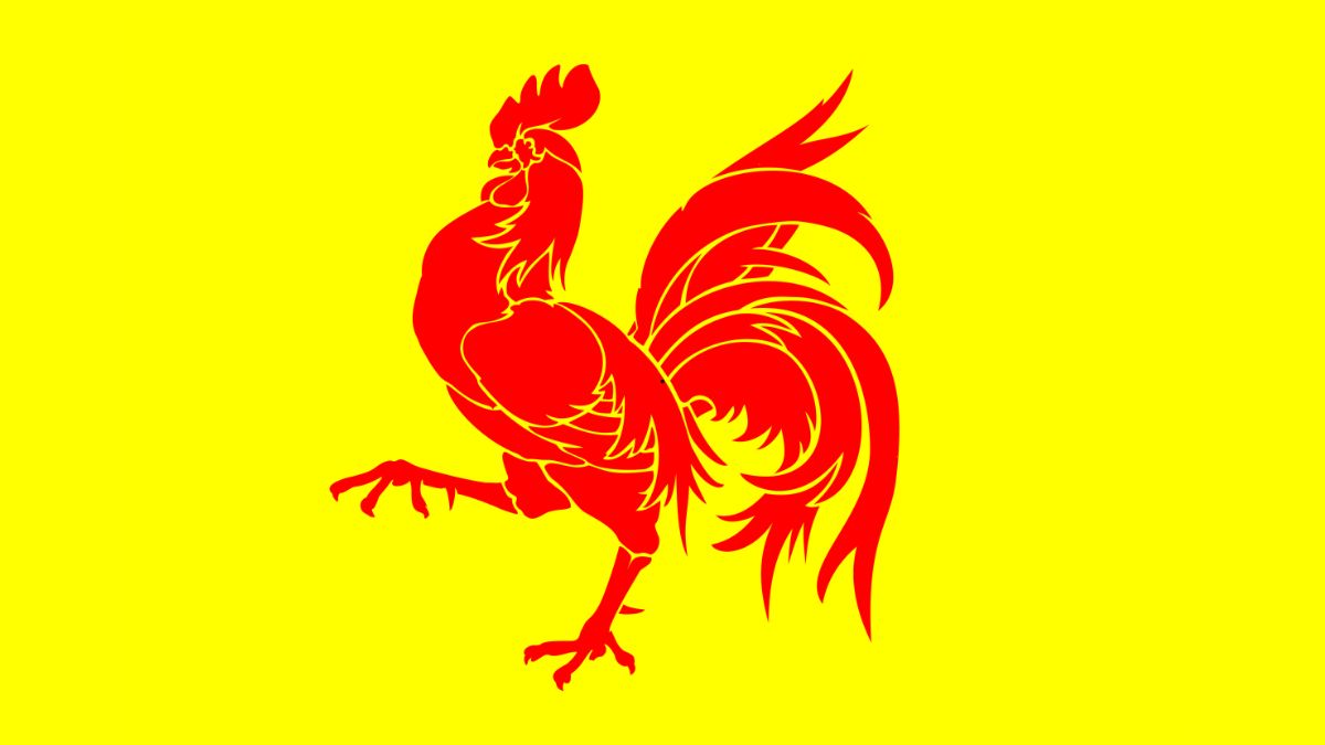 Primes en Wallonie : guide complet 2025